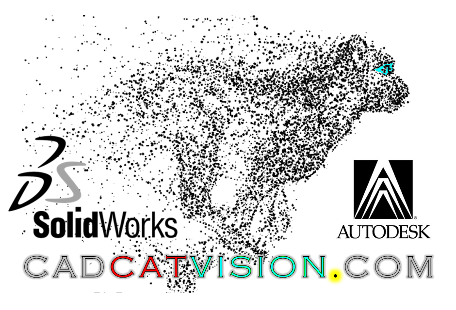 www.cadcatvision.com